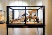 museum fur naturkunde berlin 5-2025 1425